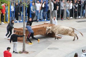 Seis ganaderas para las cuatro jornadas de bous al carrer de las fiestas del Nazareno