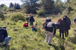 Una excursi de Podemos per a descobrir les orqudies de Xbia