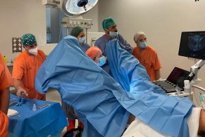 Especialistes de l'Hospital de Dnia i de Molina es reuneixen per a formar-se en ablaci de miomas per radiofreqncia