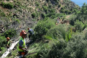 Las brigadas municipales de Xbia realizan trabajos de restauracin ambiental en la senda del Cap de Sant Antoni