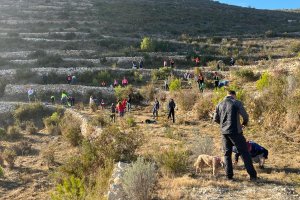Alrecedor de un centenar de personas participan en la reforestacin del Dia de lArbre de Xbia