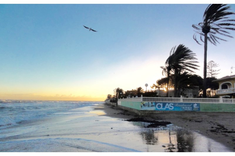 Protejamos la Playa considera un error que el Ayuntamiento  de Dnia d licencia para Residencial Las Olas