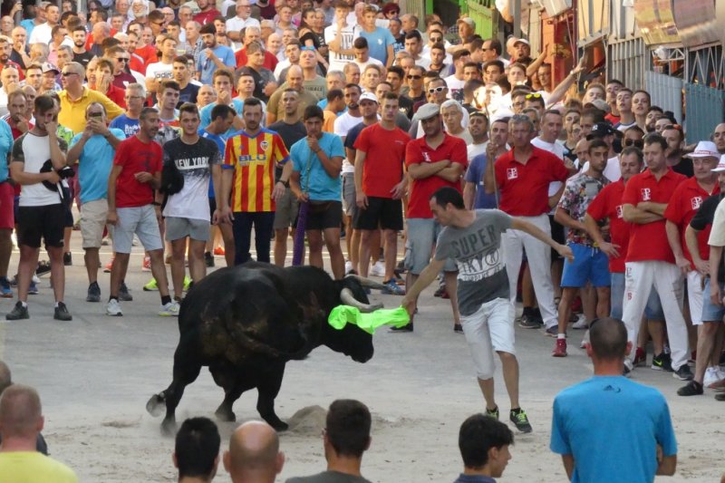 La Plaa Major sompli de passi pels bous en les Festes de Juliol de Pedreguer