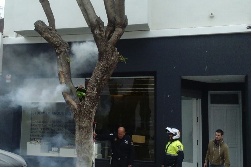 Incendio de un rbol en la calle Carlos Sent  de Dnia