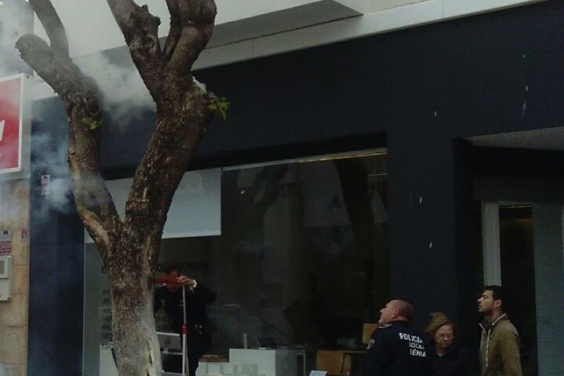 Incendio de un rbol en la calle Carlos Sent  de Dnia