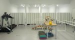 El Hospital San Carlos de Dnia abre un nuevo centro de fisioterapia avanzada