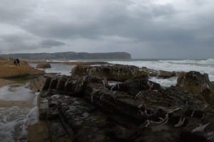 Ecologistes Marina Alta denuncia nous abocaments de tovalloletes higiniques en la costa de Xbia
