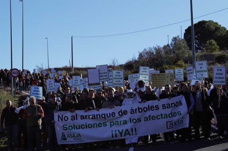 Los agricultores de secano de la Marina Alta se manifiestan contra las medidas de la Conselleria para combatir la plaga de la xylella