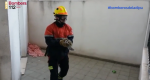 Los bomberos rescatan dos cras de halcn en Dnia 