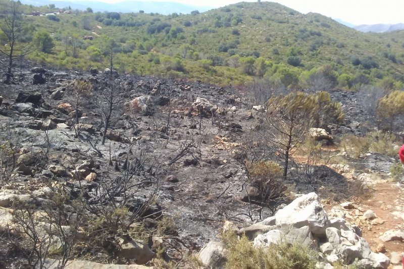 Continan las tareas de extincin del incendio de la Vall de Gallinera 