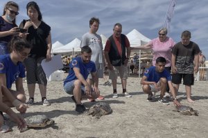 Dénia conmemora el Día Mundial de los Océanos con la suelta de tres tortugas recuperadas en el Oceanogràfic