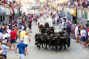 Pedreguer celebrarà les primeres Festes de Juliol post-covid sense quintada