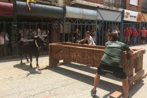 Pedreguer: Vint-i-una entrades faran córrer els aficionats dels bous al carrer durant les Festes de Juliol