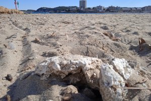 Els ecologistes demanen el tancament de la platja de l'Arenal de Xàbia per les condicions insalubles 