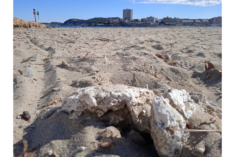 Los ecologistas piden el cierre de la playa del Arenal de Xbia por las condiciones insalubles 