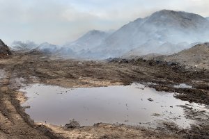 El govern de Xàbia busca la solució a Ramblars amb un nou contracte per a la retirada del residu verd, no abans del mitjà termini