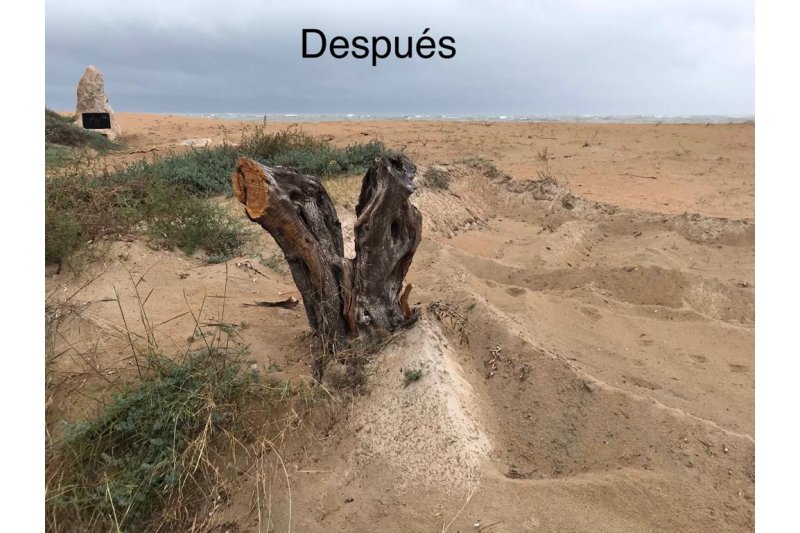 PP y Comproms se unen para exigir la restauracin de la zona dunar de El Raset