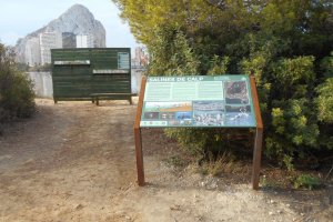 Nueva ruta de avistamiento de aves en Las Salinas de Calp