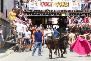 L’Ajuntament de Pedreguer no autoritza una manifestació contra els bous al carrer perquè no es garanteix la seguretat