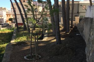 El Ayuntamiento de Ondara impulsa la rehabilitación del patio del antiguo colegio Els Pins