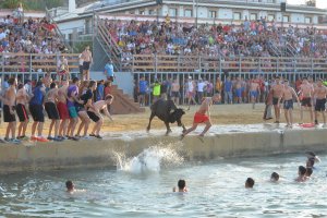 Varias entidades animalistas piden una consulta popular para suprimir la fiesta de Bous la Mar 