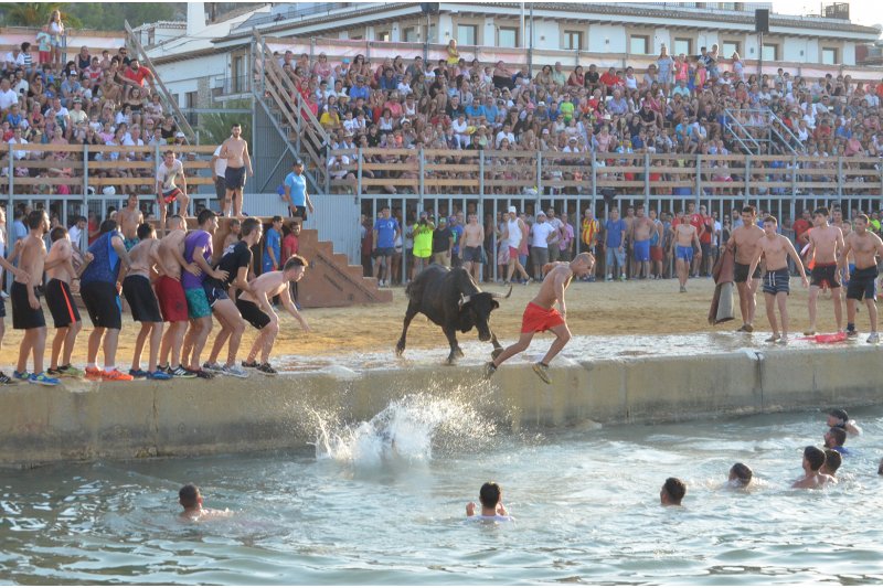 Varias entidades animalistas piden una consulta popular para suprimir la fiesta de Bous la Mar