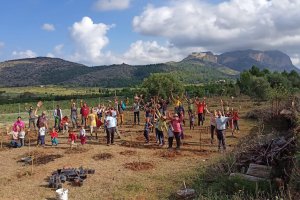 L’Ajuntament de Pedreguer i Fundem converteixen 27.000 m2 de terreny degradat en un bosc mediterrani