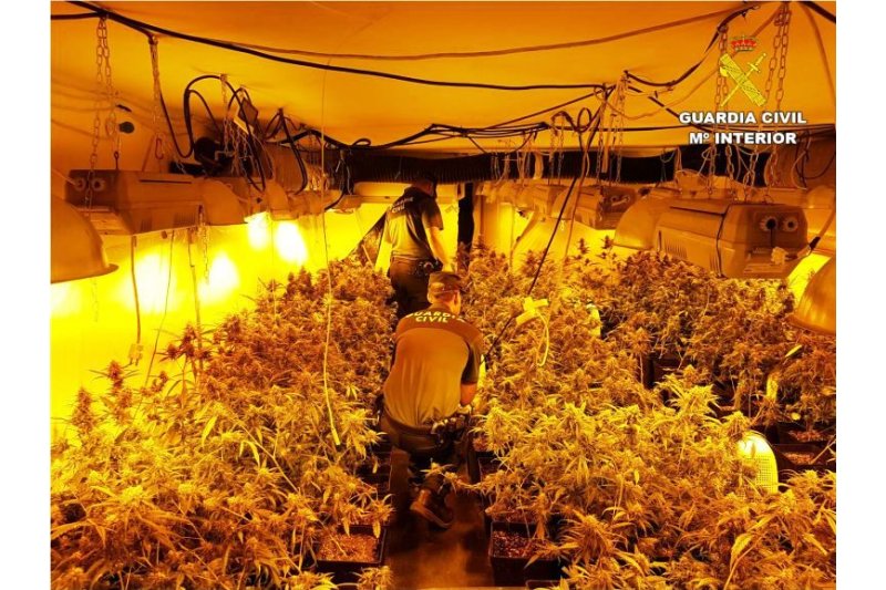 La Guardia Civil desmantela en Pedreguer un cultivo de marihuana indoor