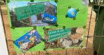 Carteles de protesta por la muerte de tortugas y peces en Torrecremada 