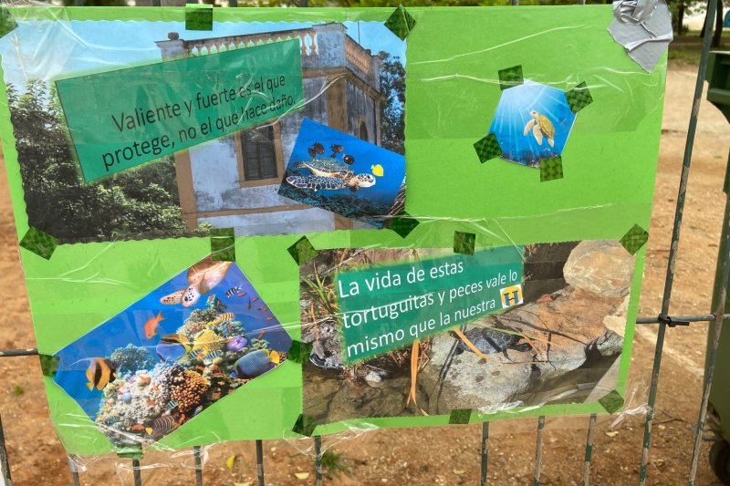 Carteles de protesta por la muerte de tortugas y peces en Torrecremada 