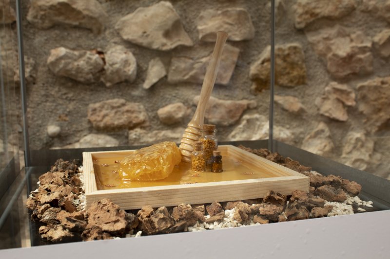 Dénia acoge su primer micro museo efímero sobre producto gastronómico