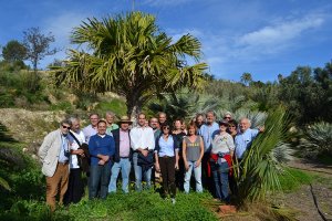 La mayor colección de palmeras de la Comunitat Valenciana está en Benissa