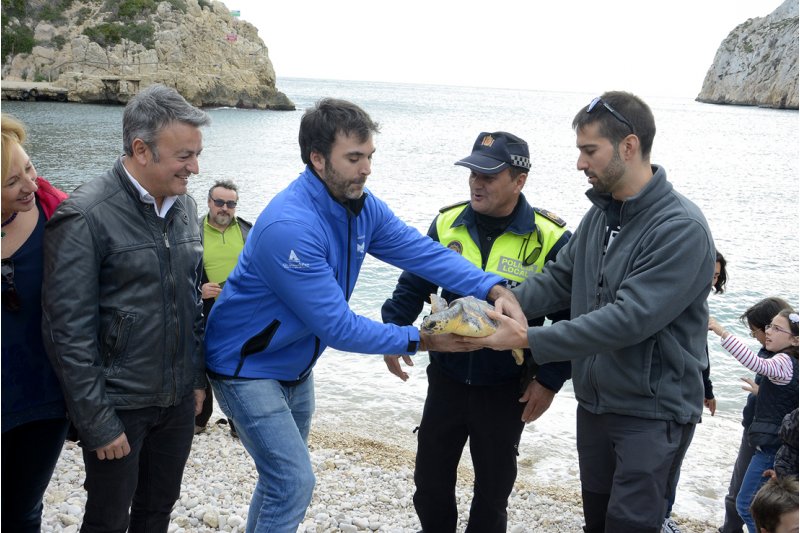 La tortuga Della regresa al mar en Xbia