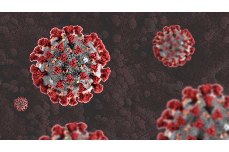 La Conselleria detecta un brote de coronavirus en Beniarbeig de origen laboral 