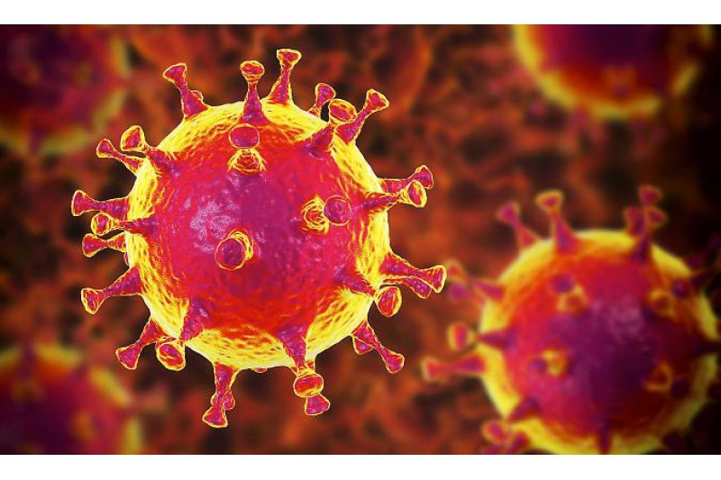 La Conselleria detecta 33 nuevos casos de coronavirus en la comarca 
