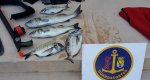 Sorprenden a dos personas pescando ilegalmente en la reserva marina del Cap de Sant Antoni