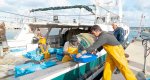 Els Magazinos convoca el I Concurso Viu l’arròs mariner en homenaje a los pescadores