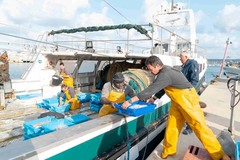 Els Magazinos convoca el I Concurso Viu l’arròs mariner en homenaje a los pescadores
