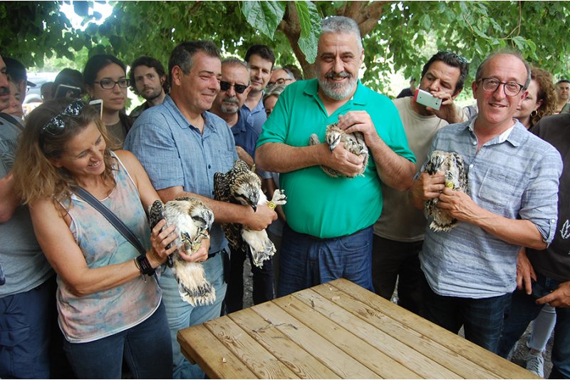 Medio Ambiente inicia la reintroduccin del guila pescadora en el parque natural de Pego-Oliva