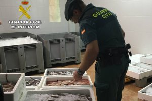 La Guardia Civil interviene en Calp 300 kilos de pescado ilegal