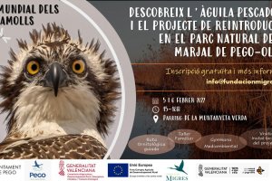 Pego conmemora el Día Internacional de los Humedales con unas jornadas sobre el águila pescadora