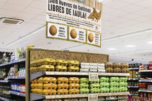 Supermercados masymas avanza en el bienestar animal: solo vende huevos de gallina libres de jaula