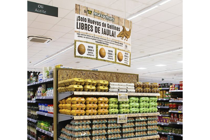 Supermercados masymas avanza en el bienestar animal: solo vende huevos de gallina libres de jaula