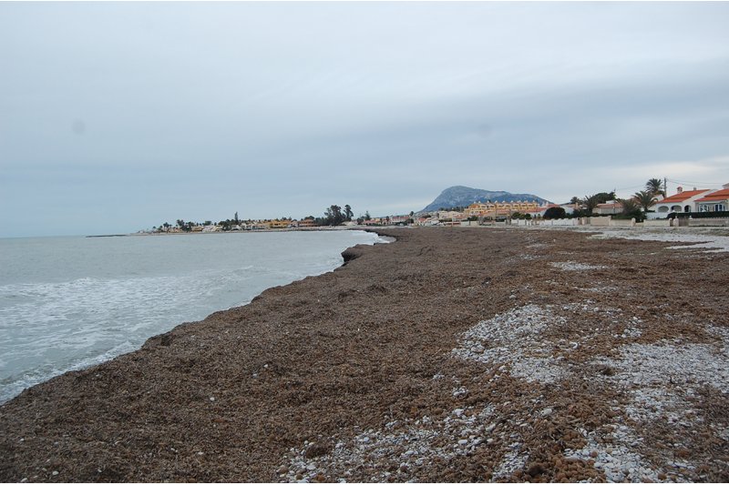 El Ayuntamiento de Els Poblets vuelve a la carga y reclama la segregacin de una franja de la playa de lAlmadrava