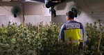 Descubren una plantación de marihuana en un chalet de Les Rotes 
