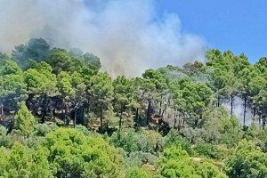 El incendio de Vall de Laguar está estabilizado