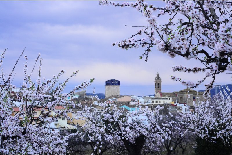 Alcalal celebra la tercera edicin de Feslal que arranca el 3 de febrero con al Ruta de la Tapa
