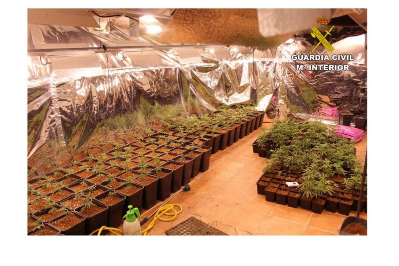 La Guardia Civil desmantela una plantacin de marihuana en Xbia