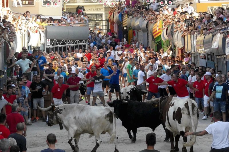 La Plaa Major sompli de passi pels bous en les Festes de Juliol de Pedreguer