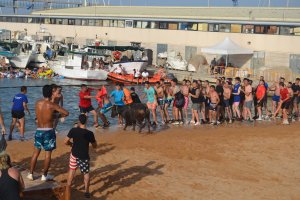 El equipo de gobierno elimina las sesiones de Bous a la Mar de medioda para evitar las horas de ms calor